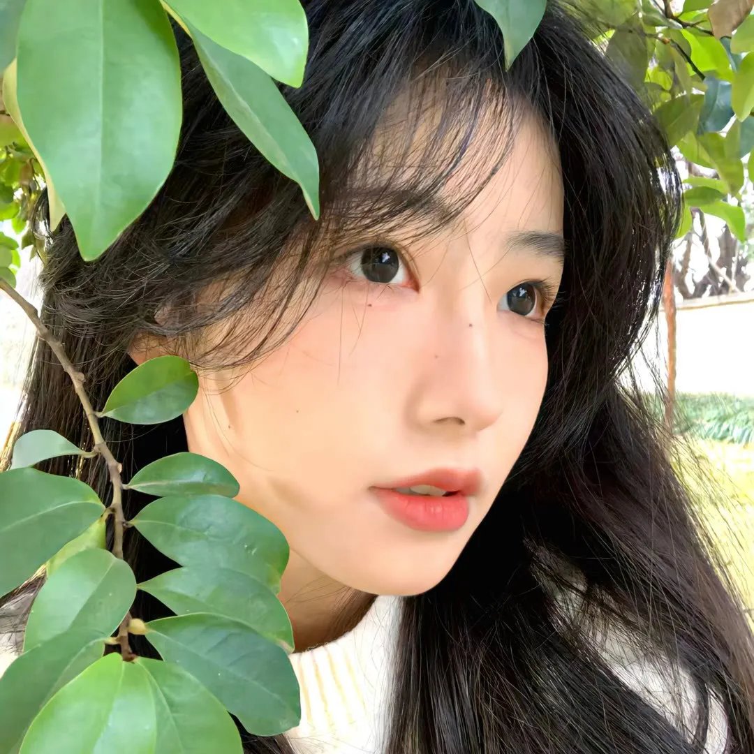 曾经想火第二季